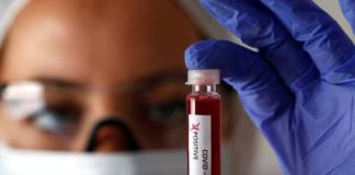coronavirus.