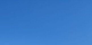 Back To Nature- These women entrepreneurs are paving the way for a greener future with their innovative seed paper products.